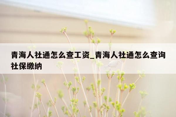 青海人社通怎么查工资_青海人社通怎么查询社保缴纳