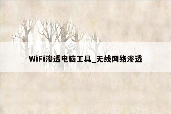 WiFi渗透电脑工具_无线网络渗透