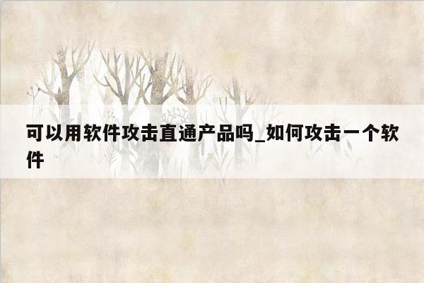 可以用软件攻击直通产品吗_如何攻击一个软件