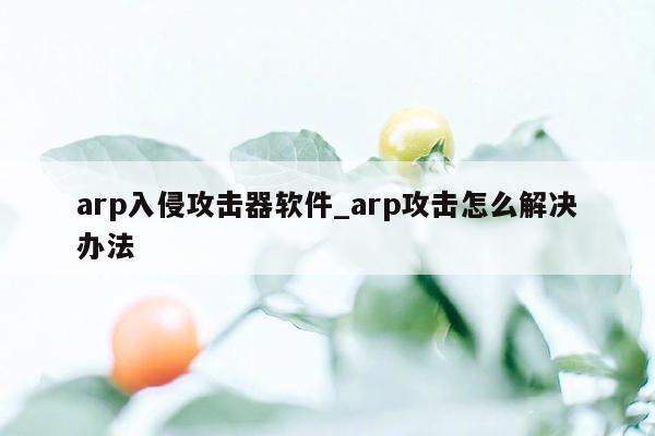 arp入侵攻击器软件_arp攻击怎么解决办法