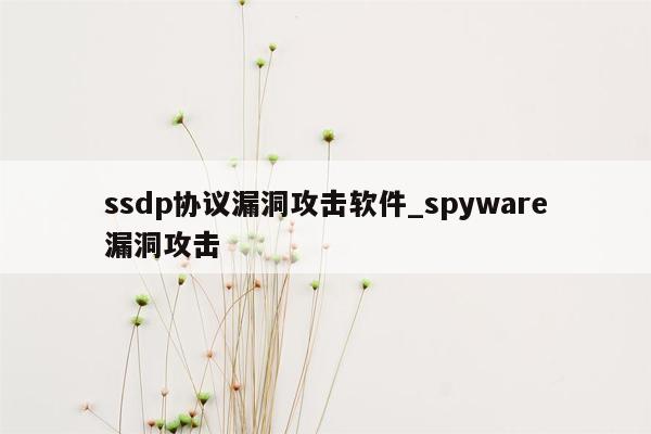 ssdp协议漏洞攻击软件_spyware漏洞攻击