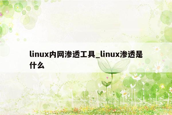 linux内网渗透工具_linux渗透是什么