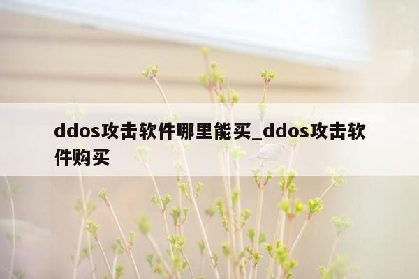 ddos攻击软件哪里能买_ddos攻击软件购买