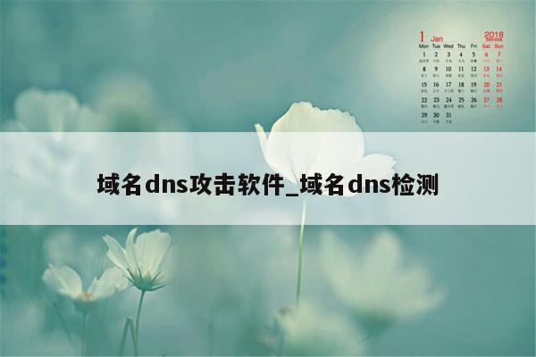 域名dns攻击软件_域名dns检测