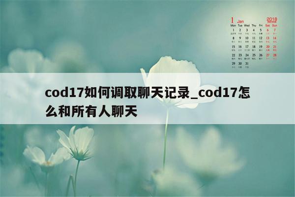 cod17如何调取聊天记录_cod17怎么和所有人聊天