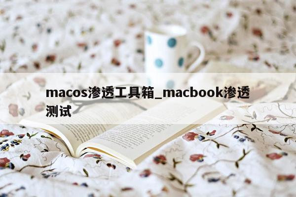 macos渗透工具箱_macbook渗透测试