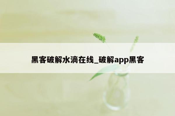 黑客破解水滴在线_破解app黑客