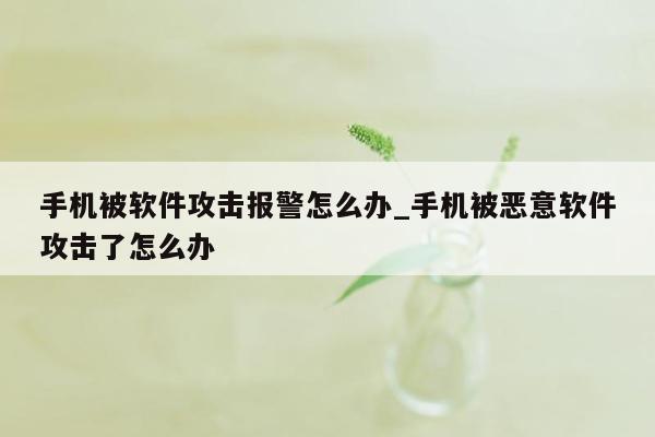 手机被软件攻击报警怎么办_手机被恶意软件攻击了怎么办