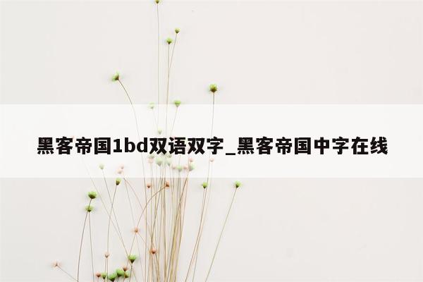 黑客帝国1bd双语双字_黑客帝国中字在线