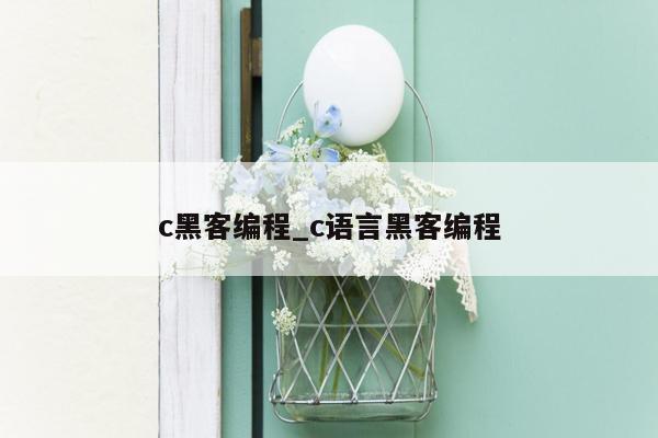 c黑客编程_c语言黑客编程