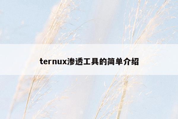 ternux渗透工具的简单介绍