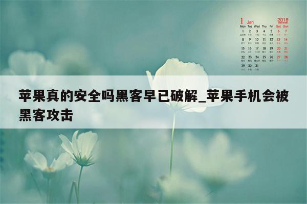 苹果真的安全吗黑客早已破解_苹果手机会被黑客攻击