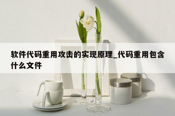 软件代码重用攻击的实现原理_代码重用包含什么文件