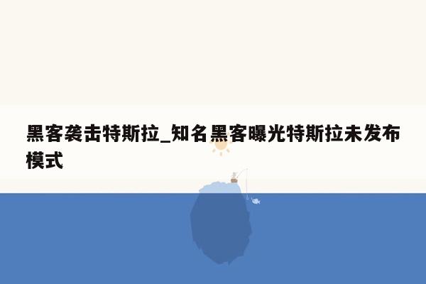 黑客袭击特斯拉_知名黑客曝光特斯拉未发布模式