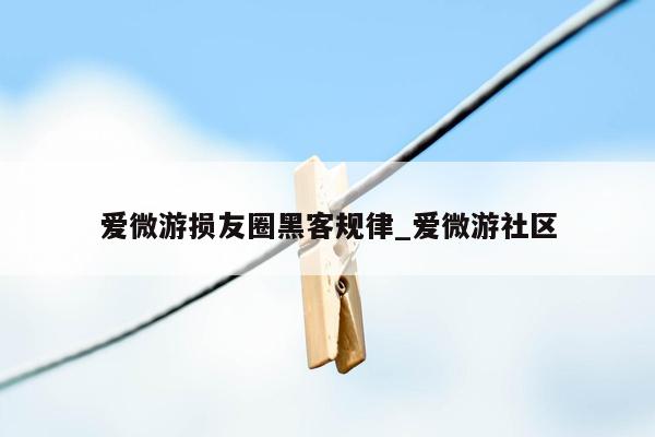 爱微游损友圈黑客规律_爱微游社区