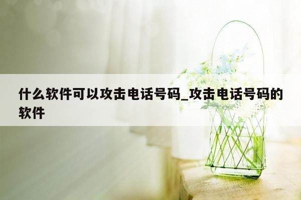 什么软件可以攻击电话号码_攻击电话号码的软件