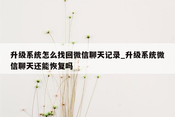 升级系统怎么找回微信聊天记录_升级系统微信聊天还能恢复吗