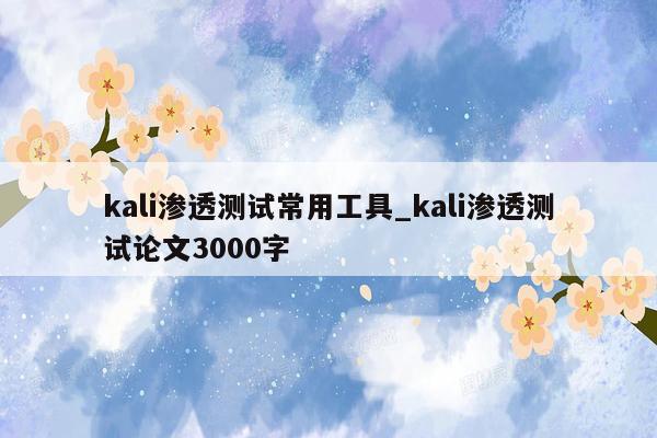 kali渗透测试常用工具_kali渗透测试论文3000字