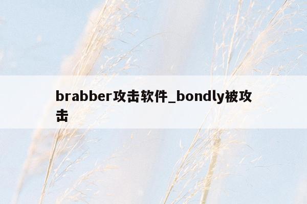 brabber攻击软件_bondly被攻击