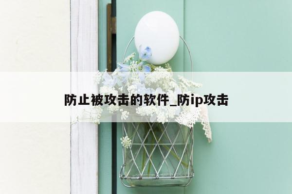 防止被攻击的软件_防ip攻击