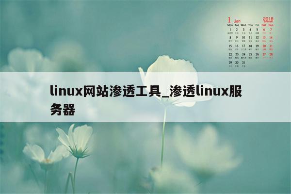 linux网站渗透工具_渗透linux服务器