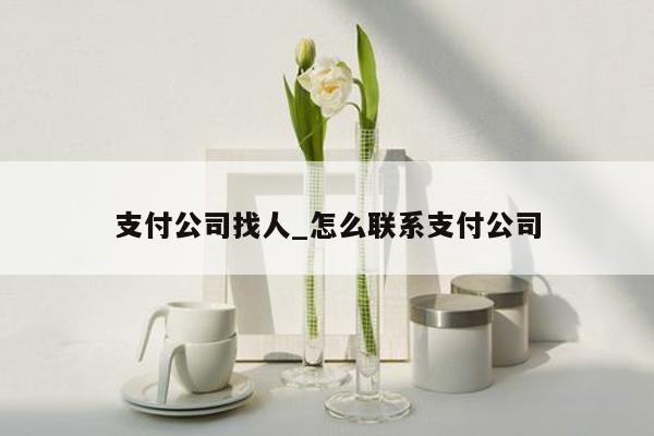 支付公司找人_怎么联系支付公司