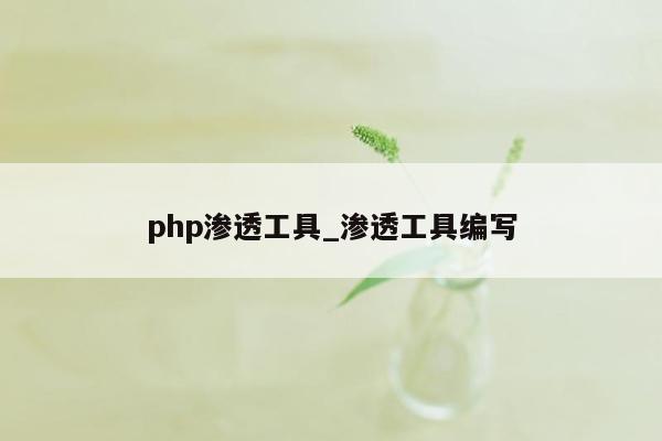 php渗透工具_渗透工具编写