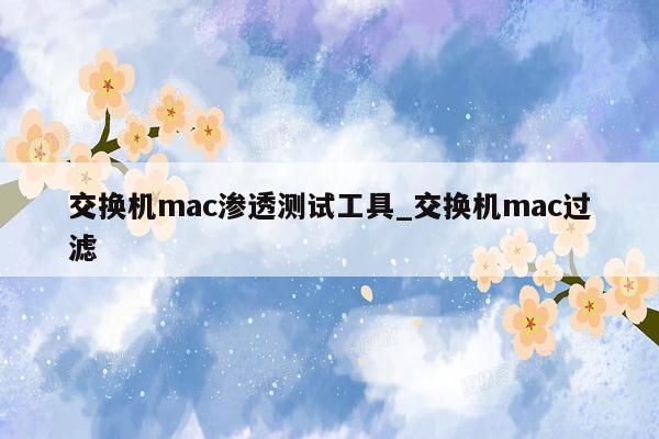 交换机mac渗透测试工具_交换机mac过滤