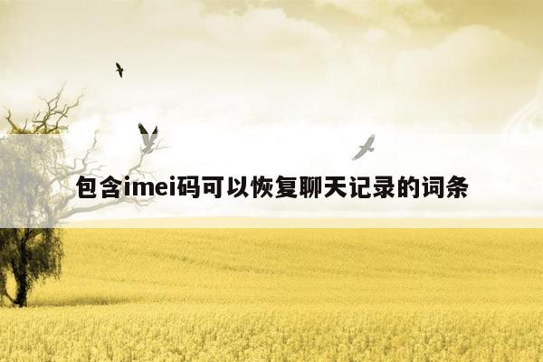 包含imei码可以恢复聊天记录的词条