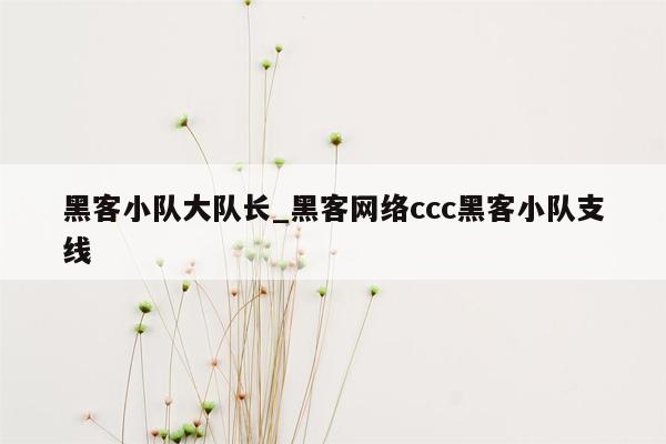 黑客小队大队长_黑客网络ccc黑客小队支线