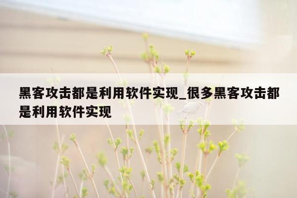 黑客攻击都是利用软件实现_很多黑客攻击都是利用软件实现