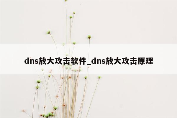 dns放大攻击软件_dns放大攻击原理