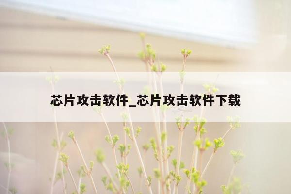 芯片攻击软件_芯片攻击软件下载