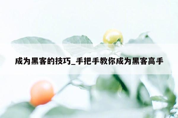 成为黑客的技巧_手把手教你成为黑客高手