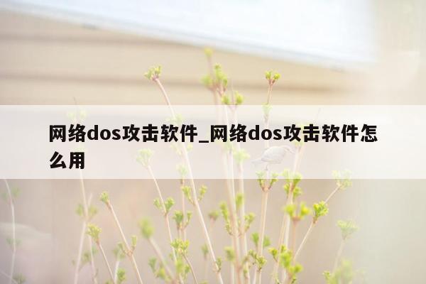 网络dos攻击软件_网络dos攻击软件怎么用