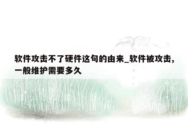 软件攻击不了硬件这句的由来_软件被攻击,一般维护需要多久