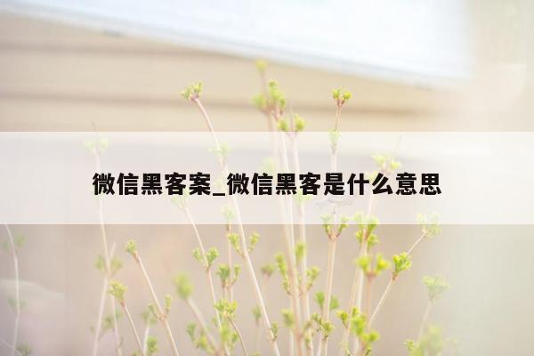 微信黑客案_微信黑客是什么意思