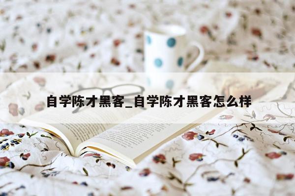 自学陈才黑客_自学陈才黑客怎么样