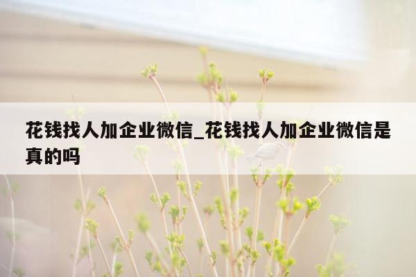 花钱找人加企业微信_花钱找人加企业微信是真的吗