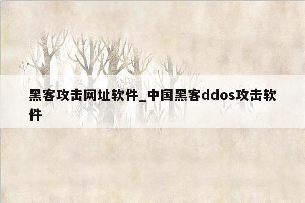 黑客攻击网址软件_中国黑客ddos攻击软件