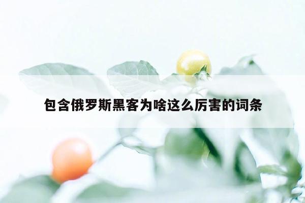 包含俄罗斯黑客为啥这么厉害的词条