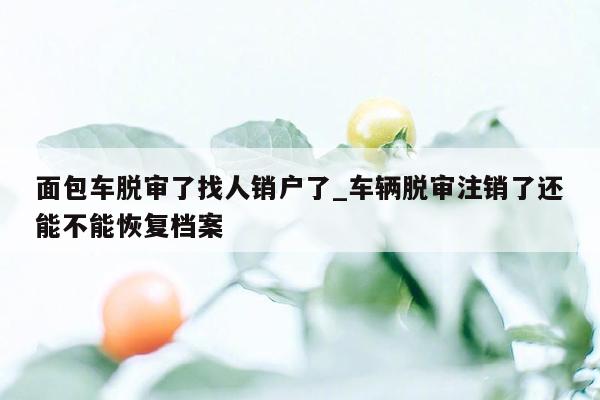 面包车脱审了找人销户了_车辆脱审注销了还能不能恢复档案