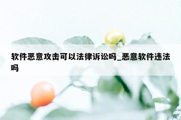 软件恶意攻击可以法律诉讼吗_恶意软件违法吗