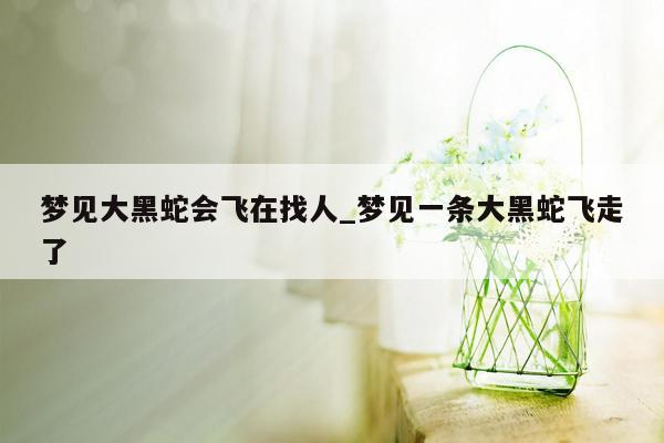 梦见大黑蛇会飞在找人_梦见一条大黑蛇飞走了