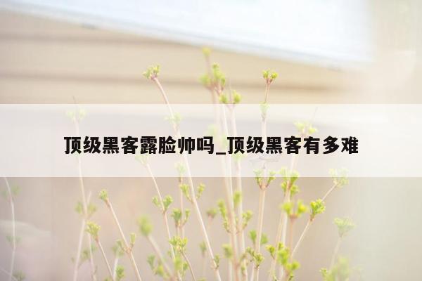 顶级黑客露脸帅吗_顶级黑客有多难