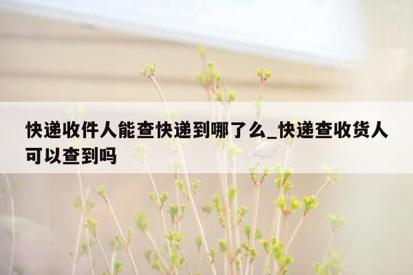 快递收件人能查快递到哪了么_快递查收货人可以查到吗