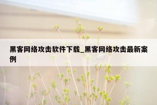 黑客网络攻击软件下载_黑客网络攻击最新案例