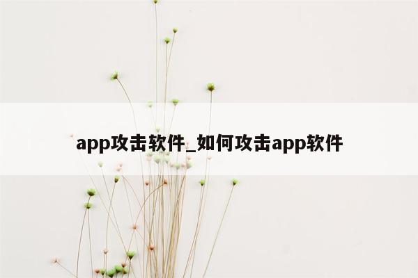 app攻击软件_如何攻击app软件