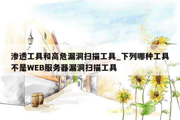 渗透工具和高危漏洞扫描工具_下列哪种工具不是WEB服务器漏洞扫描工具