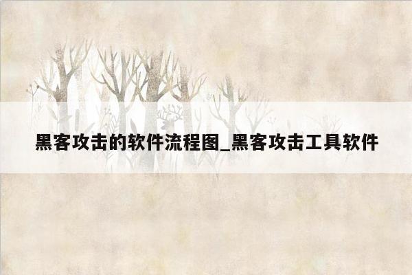 黑客攻击的软件流程图_黑客攻击工具软件